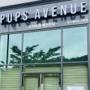 도래울로 이미지