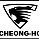 용인대 청호 태권도장 이미지