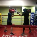 S복싱클럽 이미지