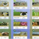 (주)농업회사법인 도시와농부 | 벼꽃어린이농부학교···벼꽃 피는 마을