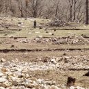 석전동254 이미지