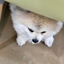 네일#더예쁘다 이미지