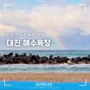 영덕 대진해수욕장 바다여행 가볼만한곳