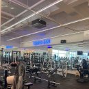 테디 케이짐 | 일산 풍동 재활PT 및 헬스 조준성트레이너님과 수업(내돈내산)