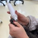 도그유토피아 살롱 이미지