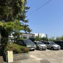 구남손세차