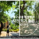 대구 감성 여행 필수코스 ㅣ 청라언덕·이상화고택 산책 후기