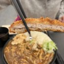아비꼬용인