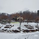 임학공원(임학정) 이미지