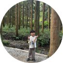 다원태권도장 | 전남 보성 갯마을횟집 / 보성녹차밭(대한다원) /골망태 와인 동굴 후기