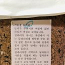 리운산장 | 강원도 산장 펜션 &#39;리운산장&#39; - 두 번째 방문 후기(feat. 겨울풍경)
