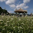 홍명목장 이미지