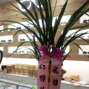 우리들안경콘텍트 이미지