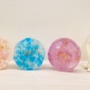 자란초등학교 이미지