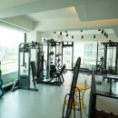 탐 휘트니스 이미지