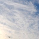 명품나루터 이미지