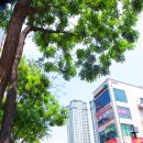 영통우정길 이미지