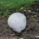 산내면 입석마을 이미지