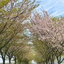 의령나루캠프 이미지