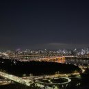 응봉산팔각정 티스토리