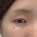 혁신튼튼약국 | 디에스랩 스펙스랄 래쉬 속눈썹영양제 추천 3달사용 찐 후기