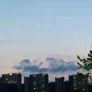 2019. 08