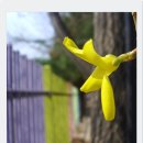 호법초등학교 이미지