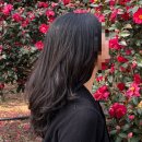 씨유평택동삭센트럴점 | 평택미용실 추천, 매직맛집 아이디헤어 지제센트럴점 승연쌤 후기