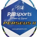 초등 배드민턴 2 이미지