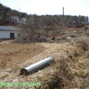 덕산양계 이미지