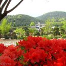 다도박물관 이미지