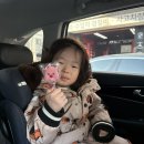 도담레지던스 | 홍천여행 스노위랜드 5살아이와 함께한 비발디눈썰매장,소노펠리체레지던스숙소후기(110cm이상놀이기구)