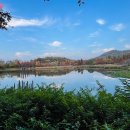 푸른수목원 이미지