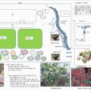 삼락초등학교 이미지