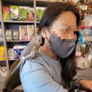 카페오늘 이미지