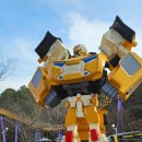 경희이기성태권도 이미지