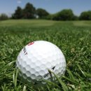 신창기업(주) 발리오스승마장 이미지