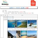 일일관광