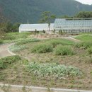 소백산향기나라 이미지