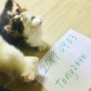 맘스캣(MOMSCAT) 이미지