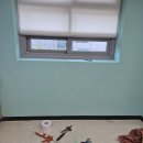 청소년수련관 화장실 이미지