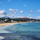 거진항공인중개사사무소 이미지