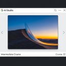 [03/20] 사진촬영 중급 과정(제품사진기법) | Google AI Studio 중급과정