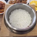 천만식당 | [오창 맛집] 천만식당 돌솥밥 정식 솔직 후기, 가성비 챙기는 꿀팁까지