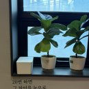 바디다움필라테스 | 바디다움 필라테스 역삼동 바레 체험 후기