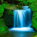 충의로R 이미지