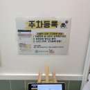 진이네 강아지풀 이미지