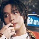 플랑(FLAN) 이미지