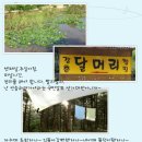 강촌달머리캠핑장 이미지