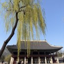 뜰 | [내돈내산] 북촌 한옥카페 차마시는 차뜰 솔직 후기